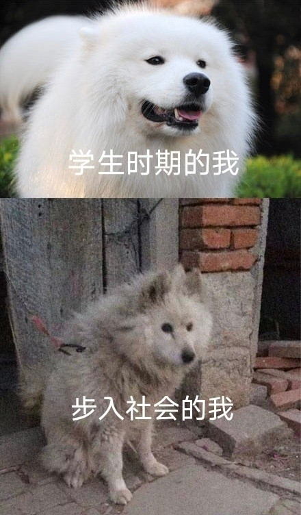 雙非大三，績點(diǎn)低，想去香港留學(xué)來得及嗎？怎么補(bǔ)救？