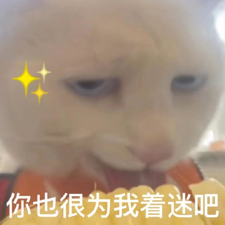 雙非大三，績點(diǎn)低，想去香港留學(xué)來得及嗎？怎么補(bǔ)救？