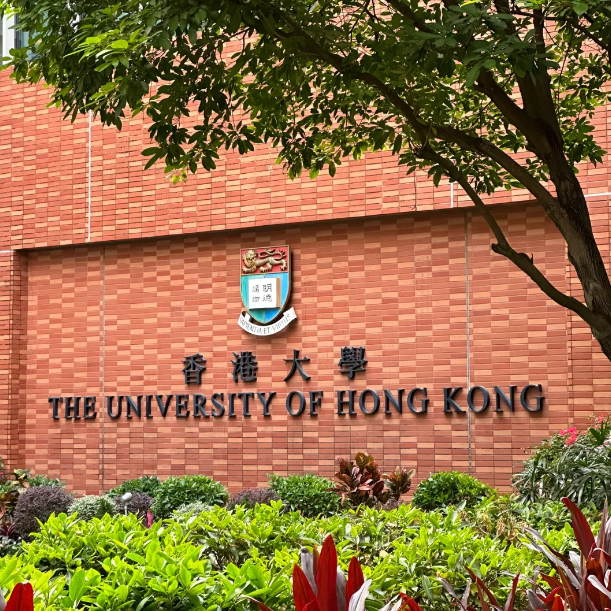 香港大學(xué)25Fall新增11個專業(yè)，盤點申請要求！